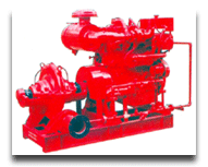 Diesel Driven Fire Pump 